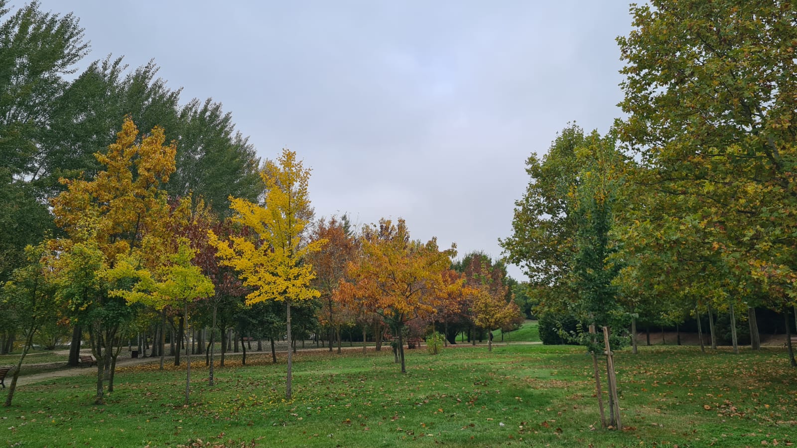 Imagen otoñal en Huerta Otea. 