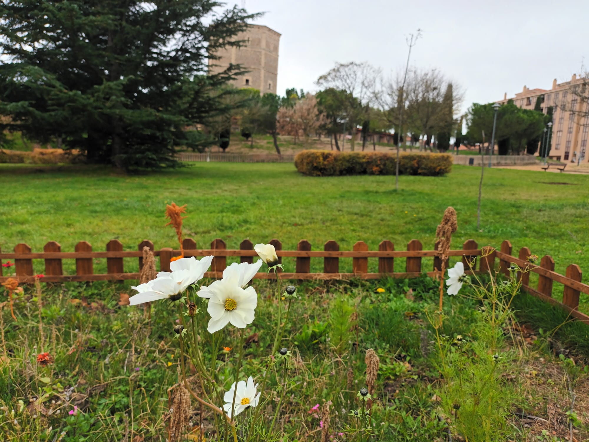 Oasis de mariposas