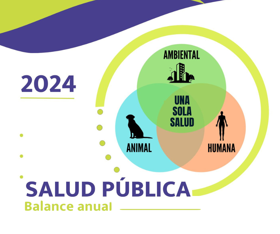 Balance anual