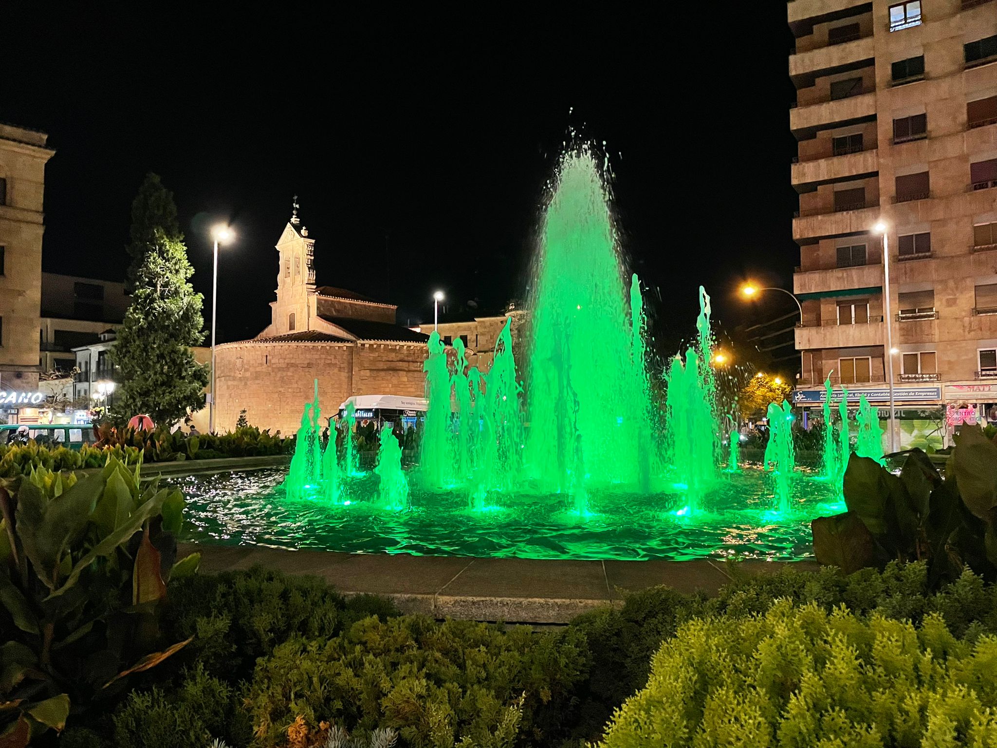 Fuente Puerta de Zamora