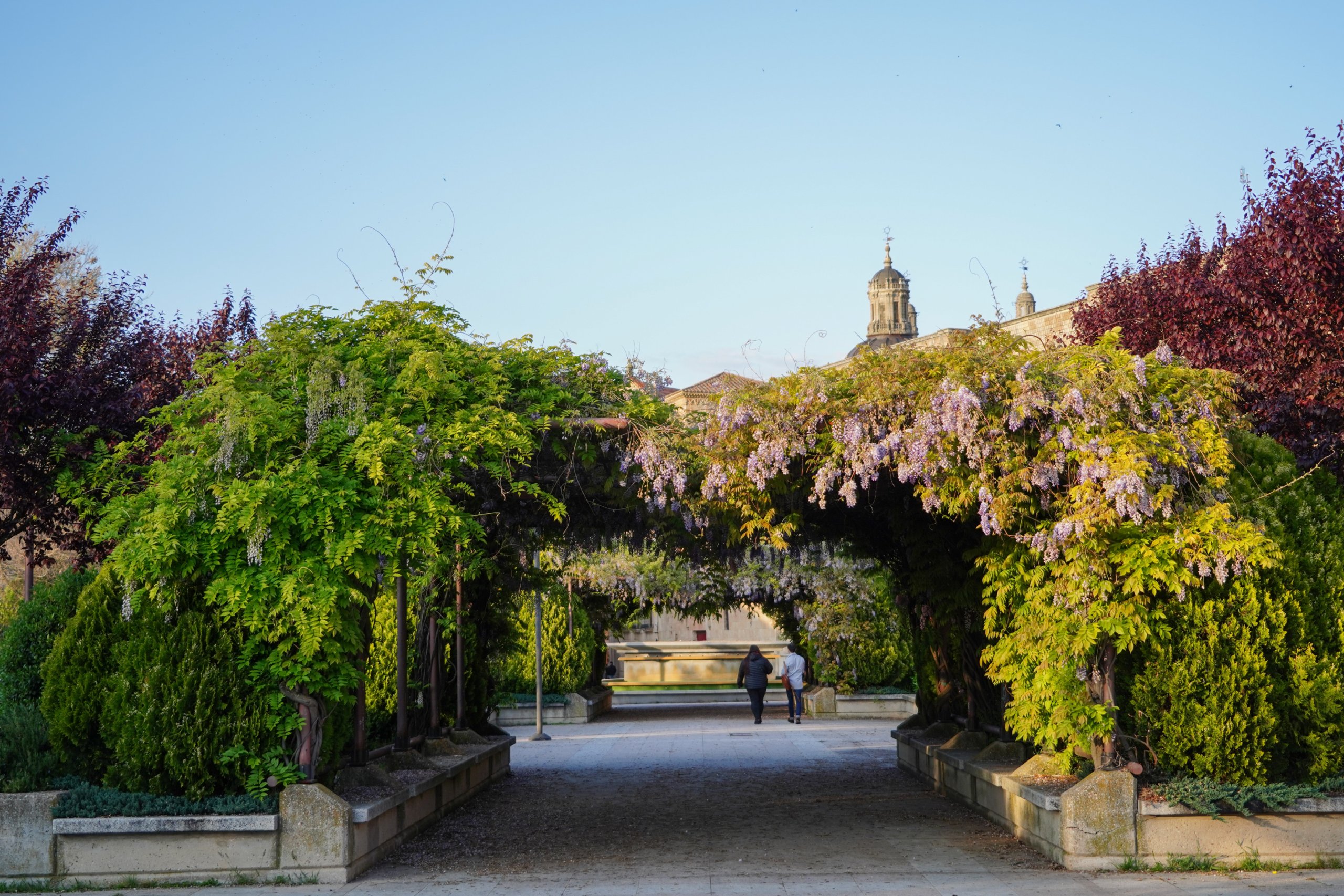 Parques y Jardines