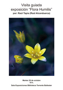 Visita guiada exposicion   Flora Humilis