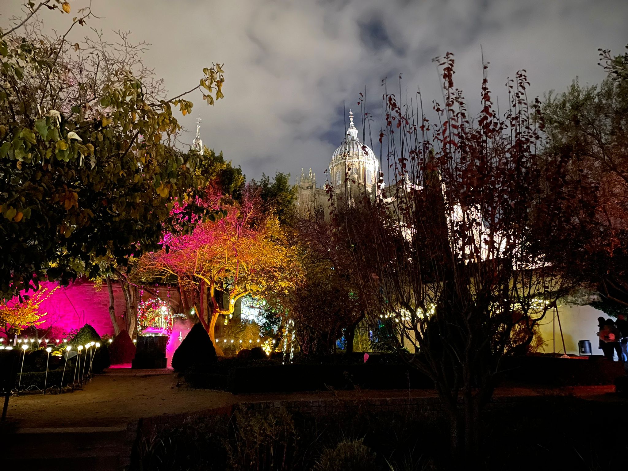 Iluminacion navidena en el Huerto de Calixto y Melibea