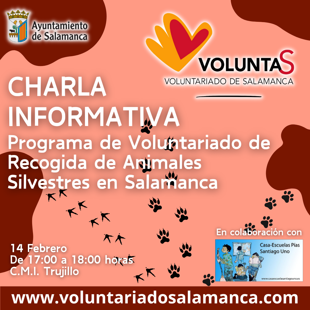 Curso gratuito de formacion de voluntariado en recogida de animales silvestres