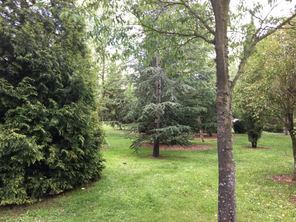 Se permitira la estancia en la chopera y el monte de utilidad publica de La Aldehuela
