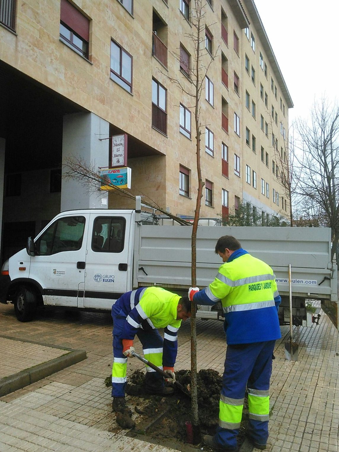 Plantacion de un arbol en el barrio de Capuchinos