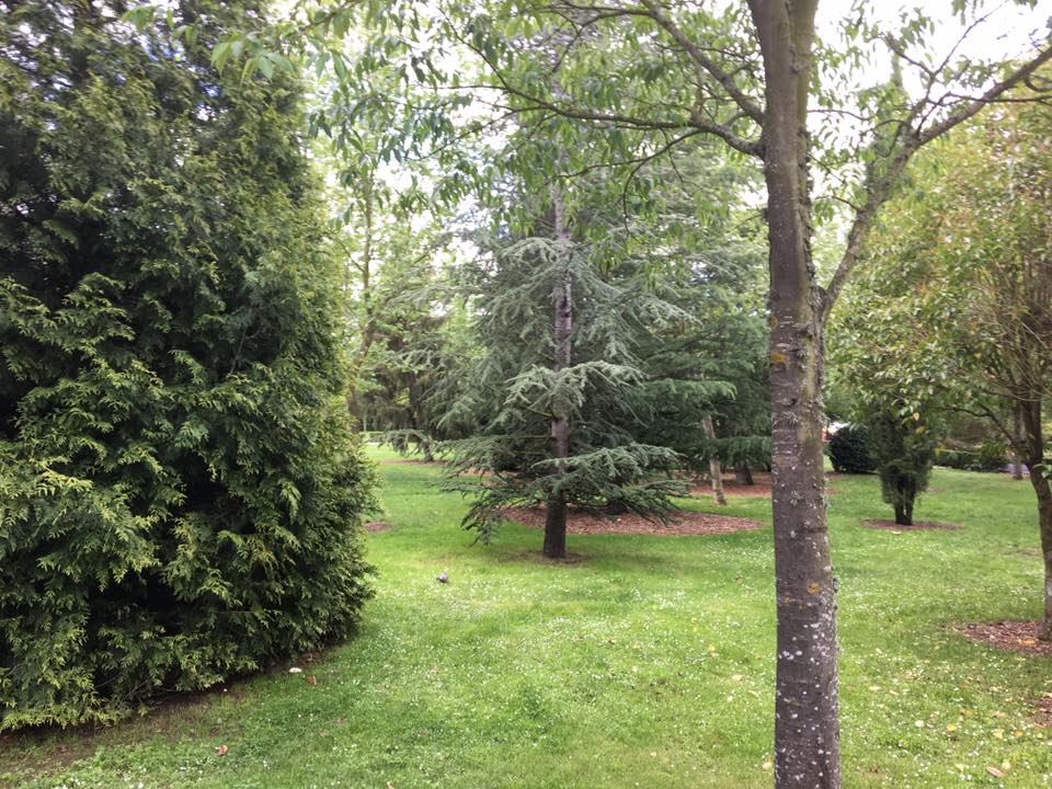 El parque de los Jesuitas ha sido recientemente reformado