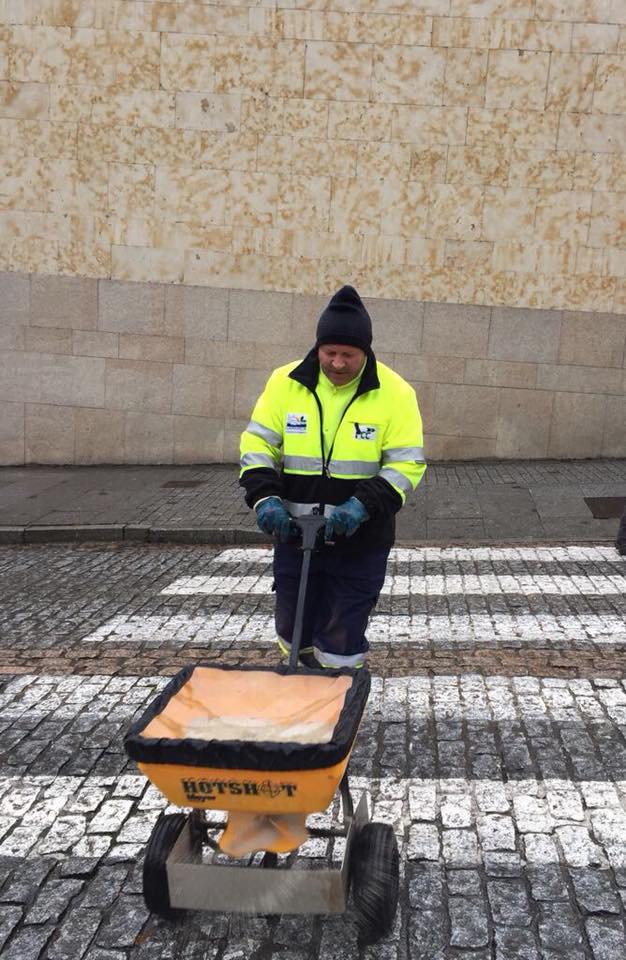 Los servicios municipales estan procediendo a quitar la nieve caida y estan esparciendo sal