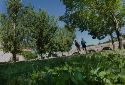 Dos personas corriendo en medio de una arboleda