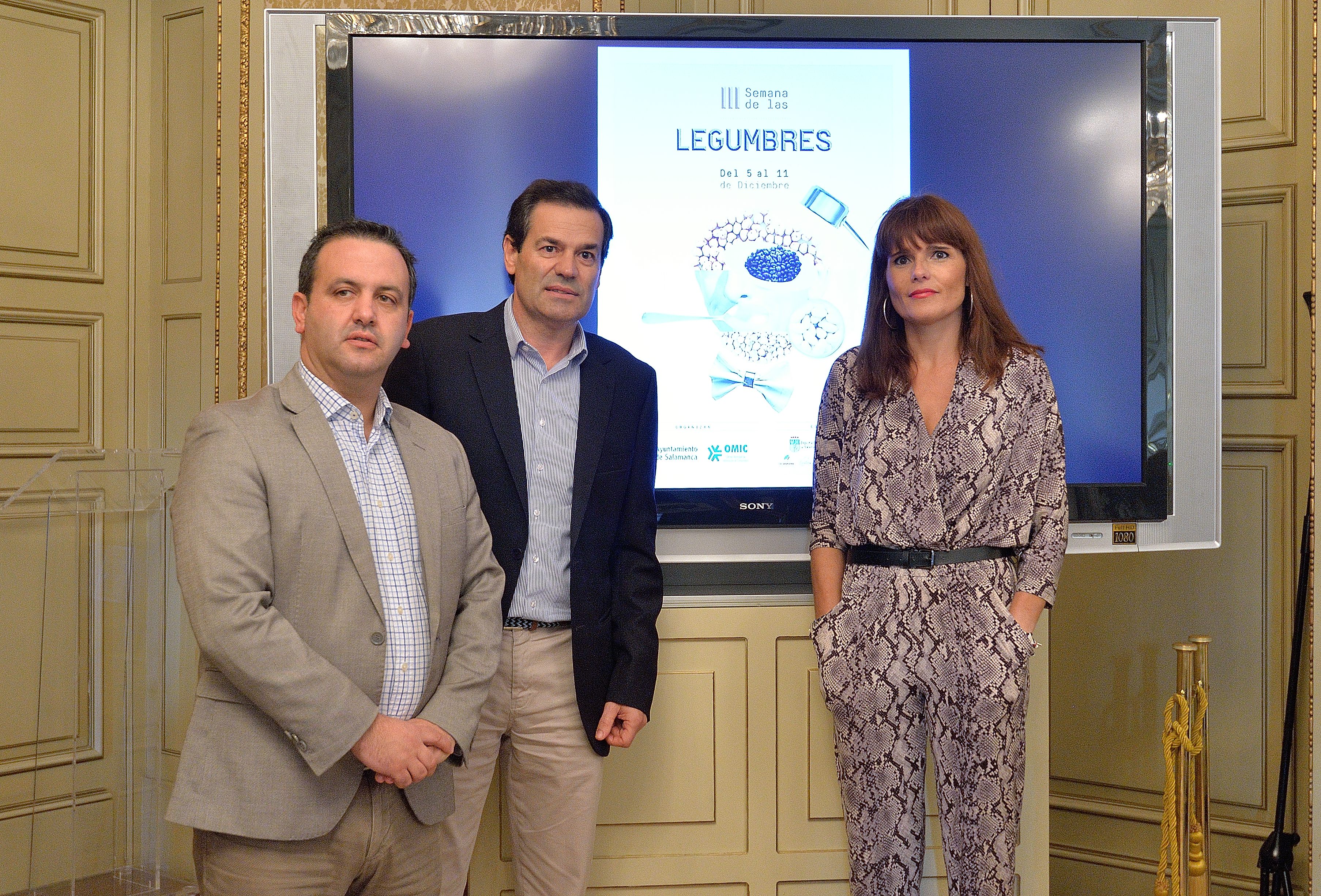 Las actividades se realizan en colaboracion con la Diputacion de Salamanca
