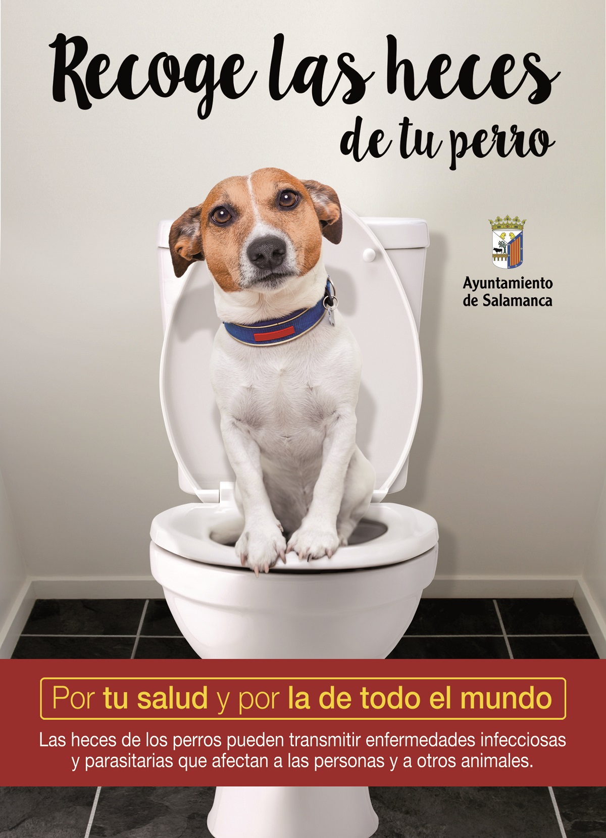 Portada de la campana por la tenencia responsable de animales