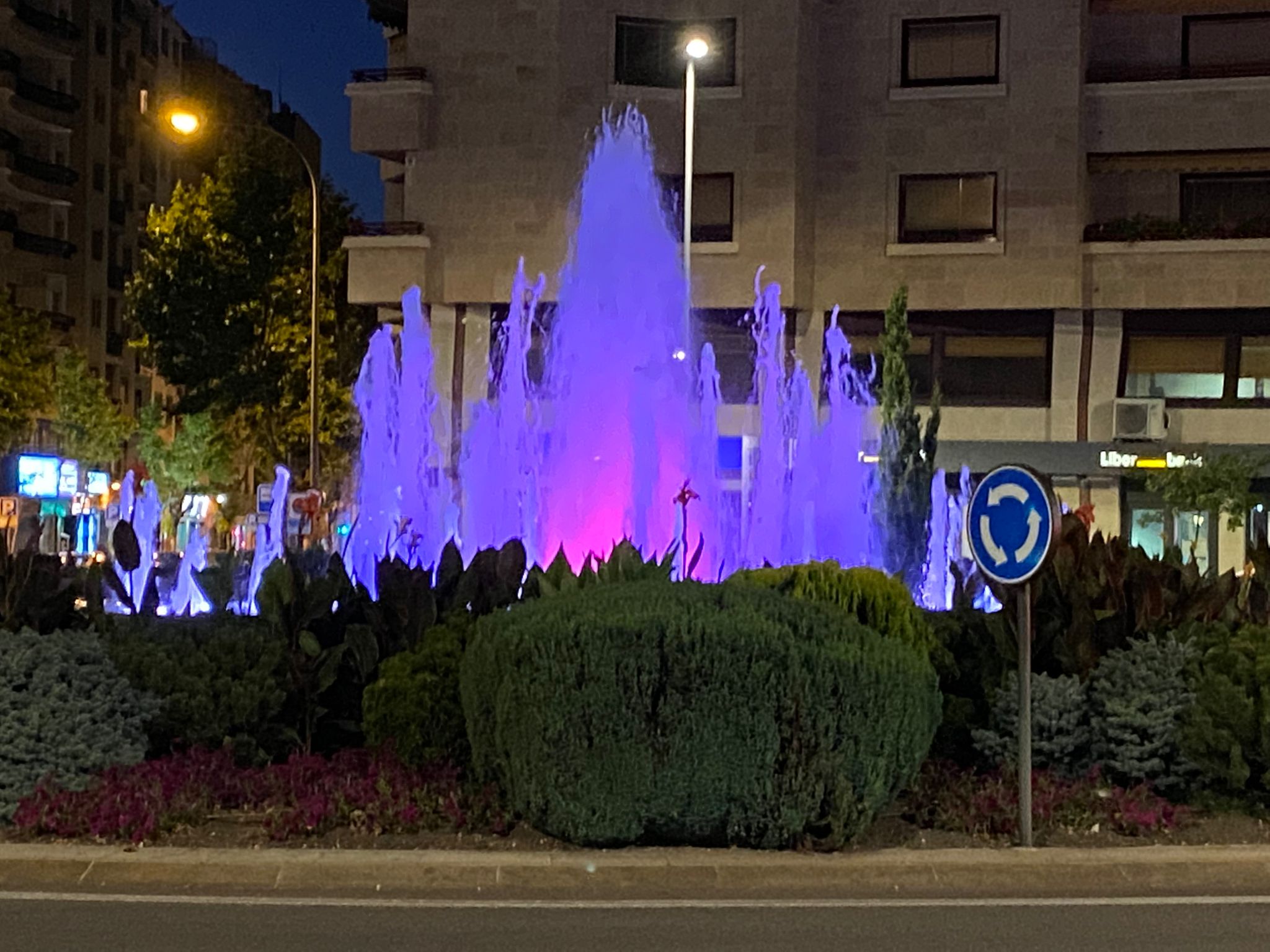 Iluminacion de la fuente de la Puerta Zamora