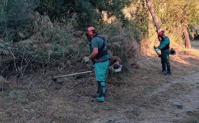 Labores de desbroce de operarios del servicio municipal