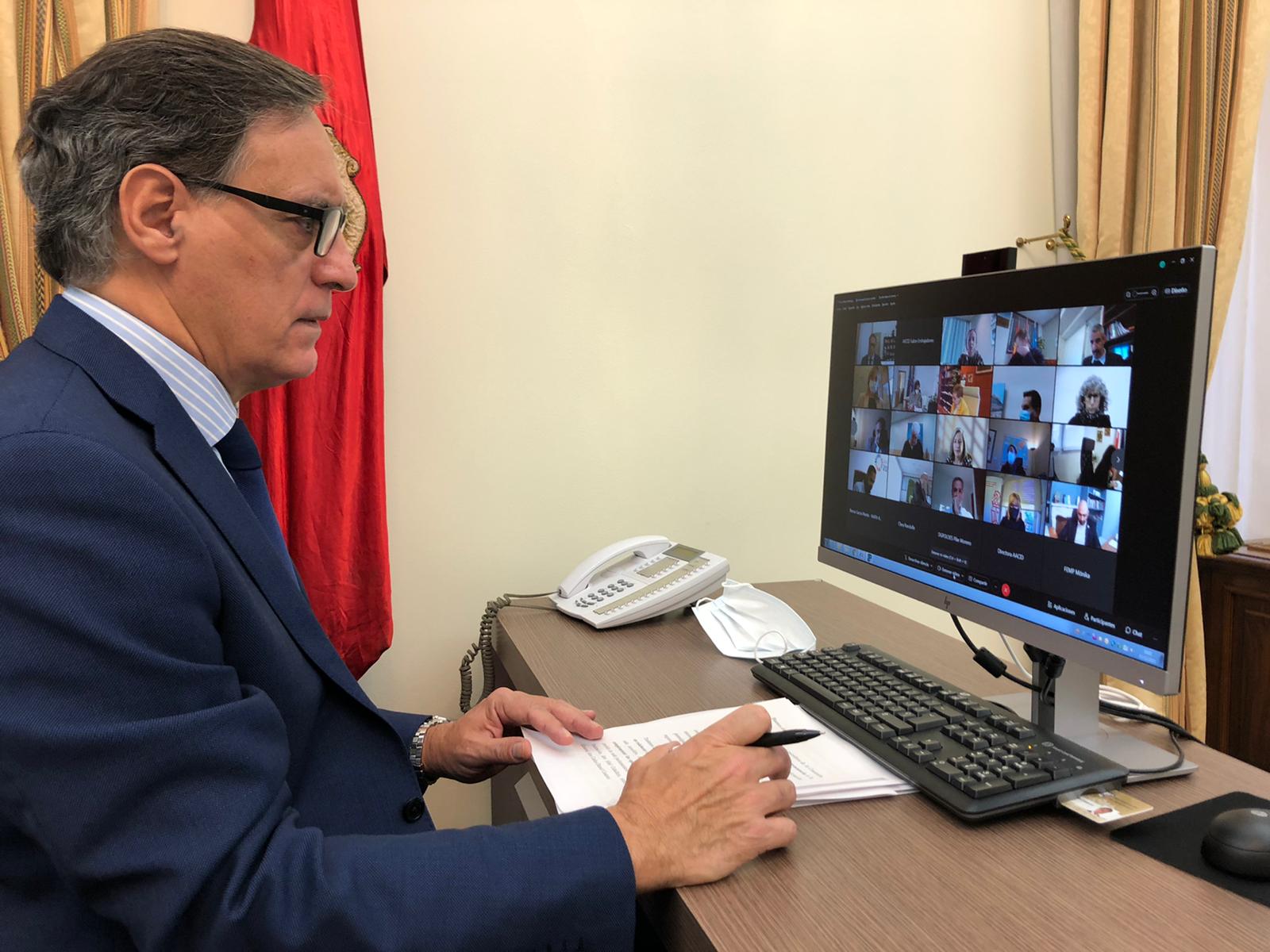 Carlos Garcia Carbayo durante la intervencion telematica en el Senado