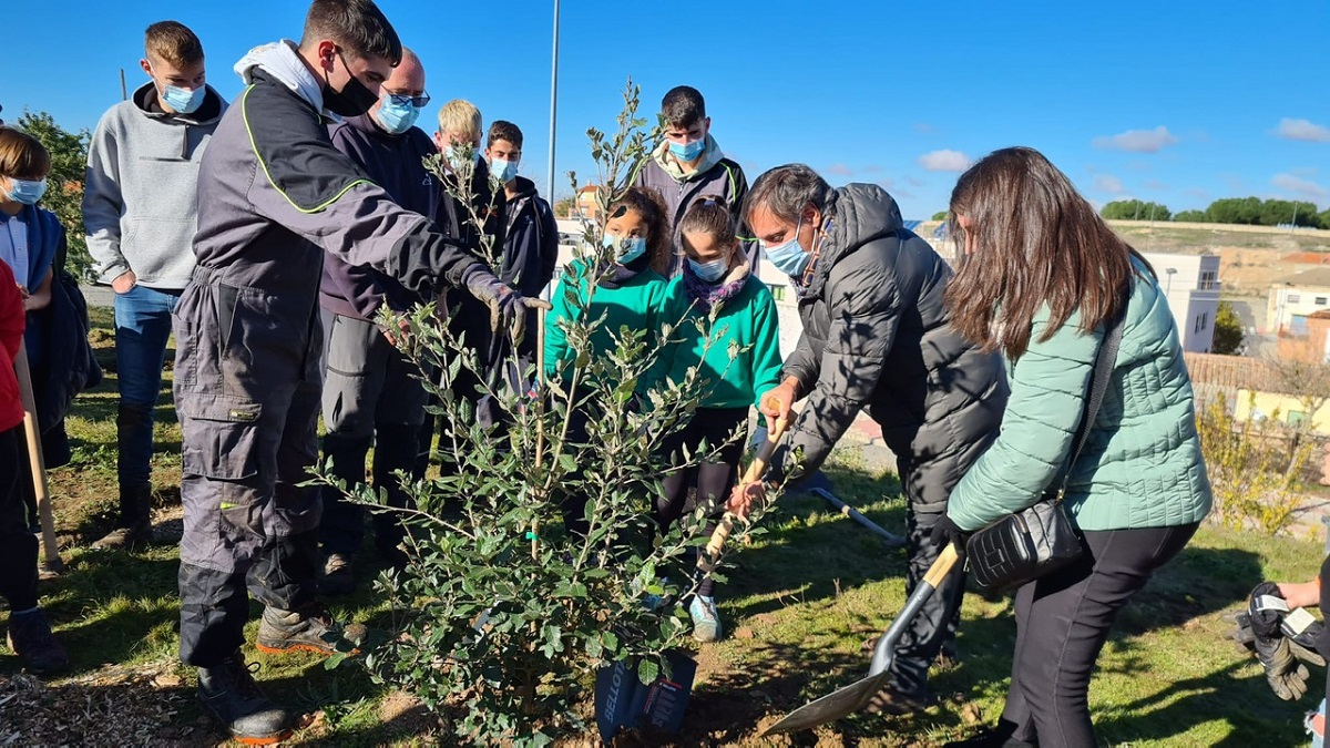 Imagen de archivo de una plantacion con centros escolares