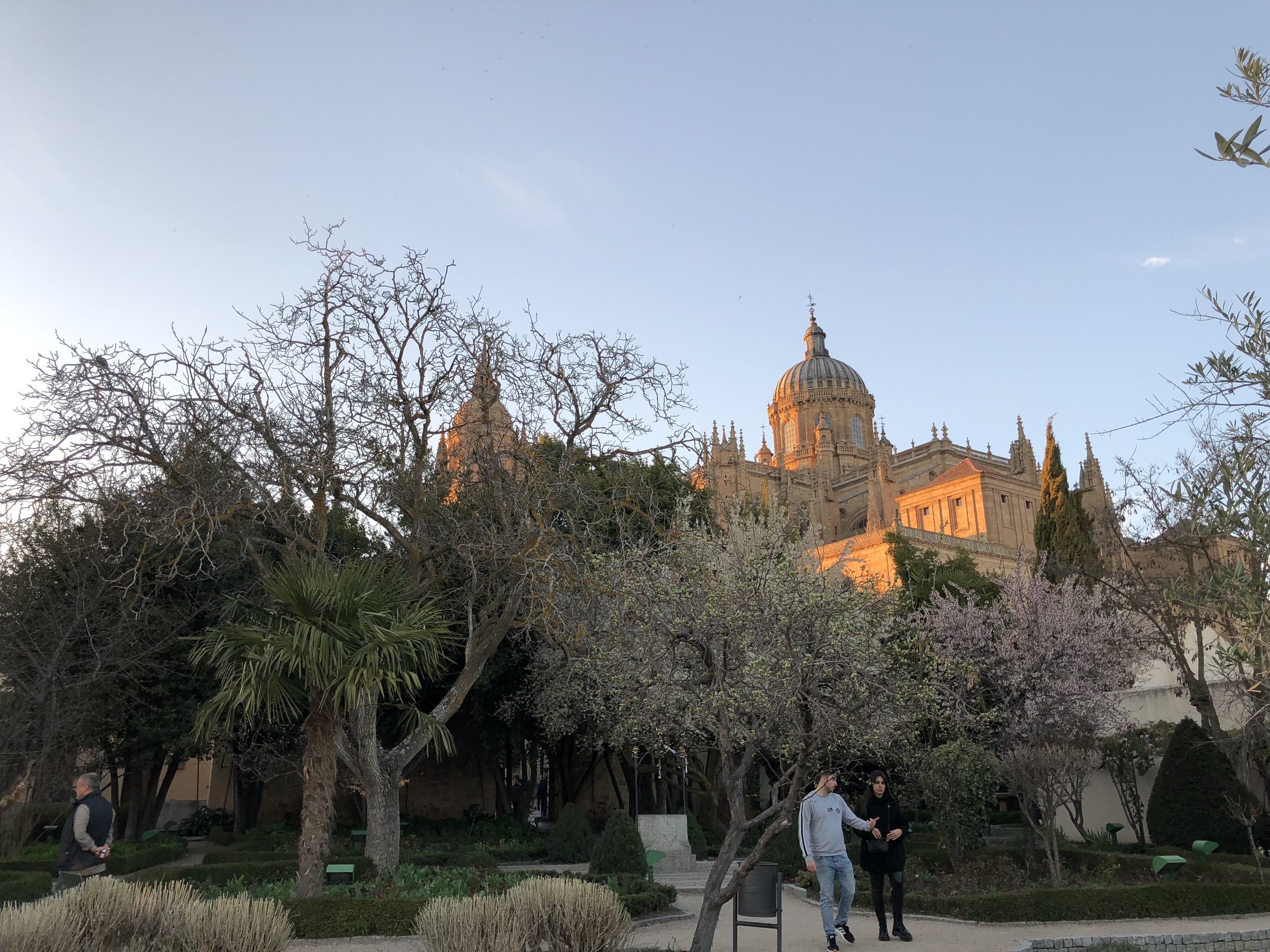 Cierre temporal del huerto de Calixto y Melibea