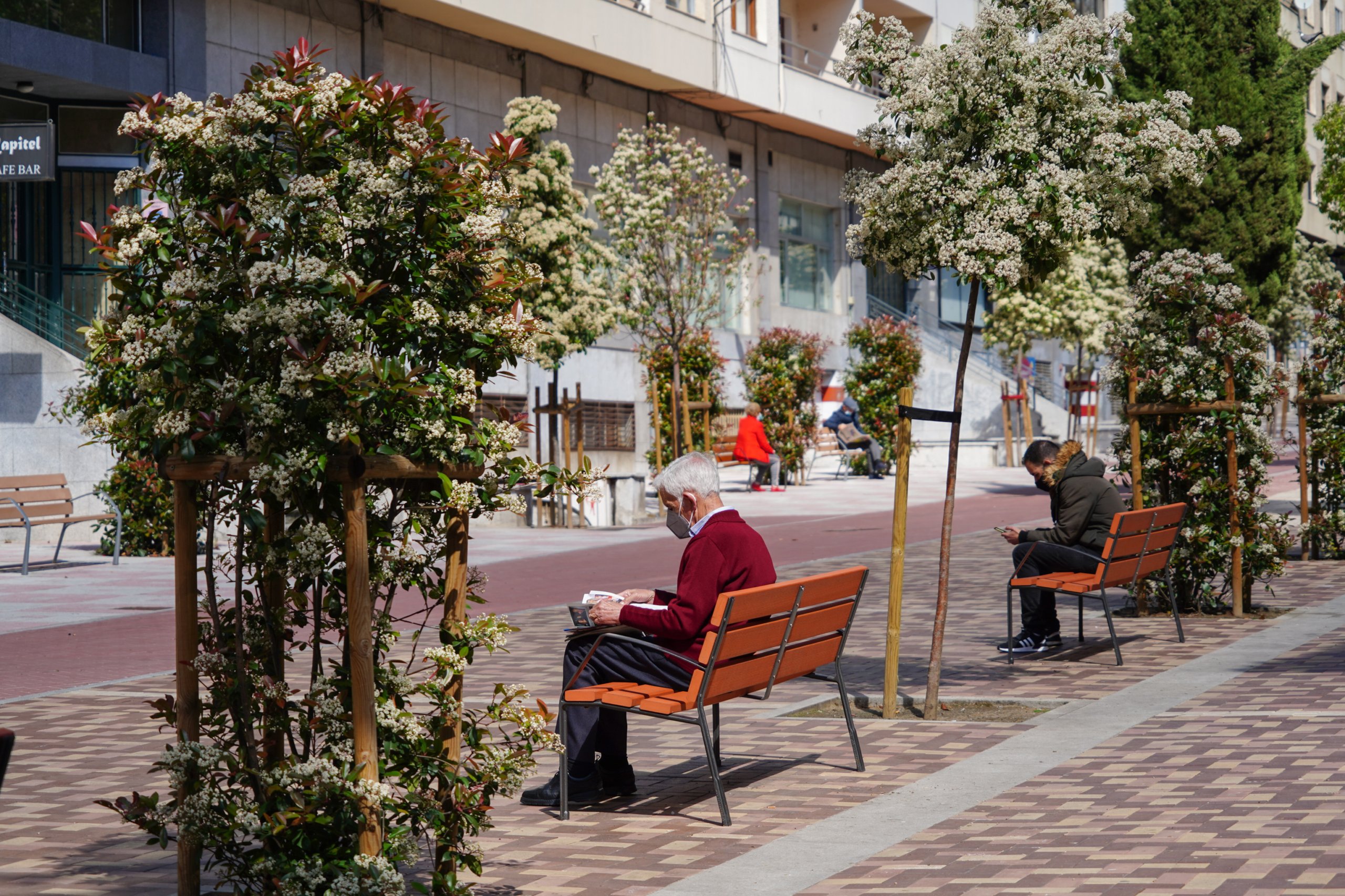 300 nuevos bancos de madera en calles  parques y plazas de la ciudad
