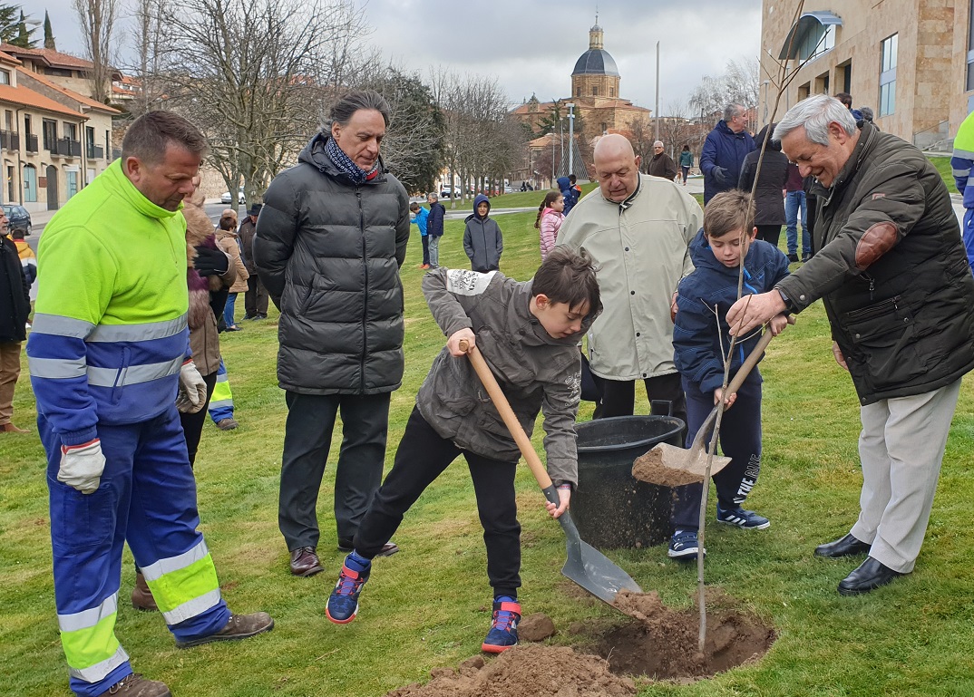 Plantacion de olmos en la Vaguada de la Palma en el ano 2020