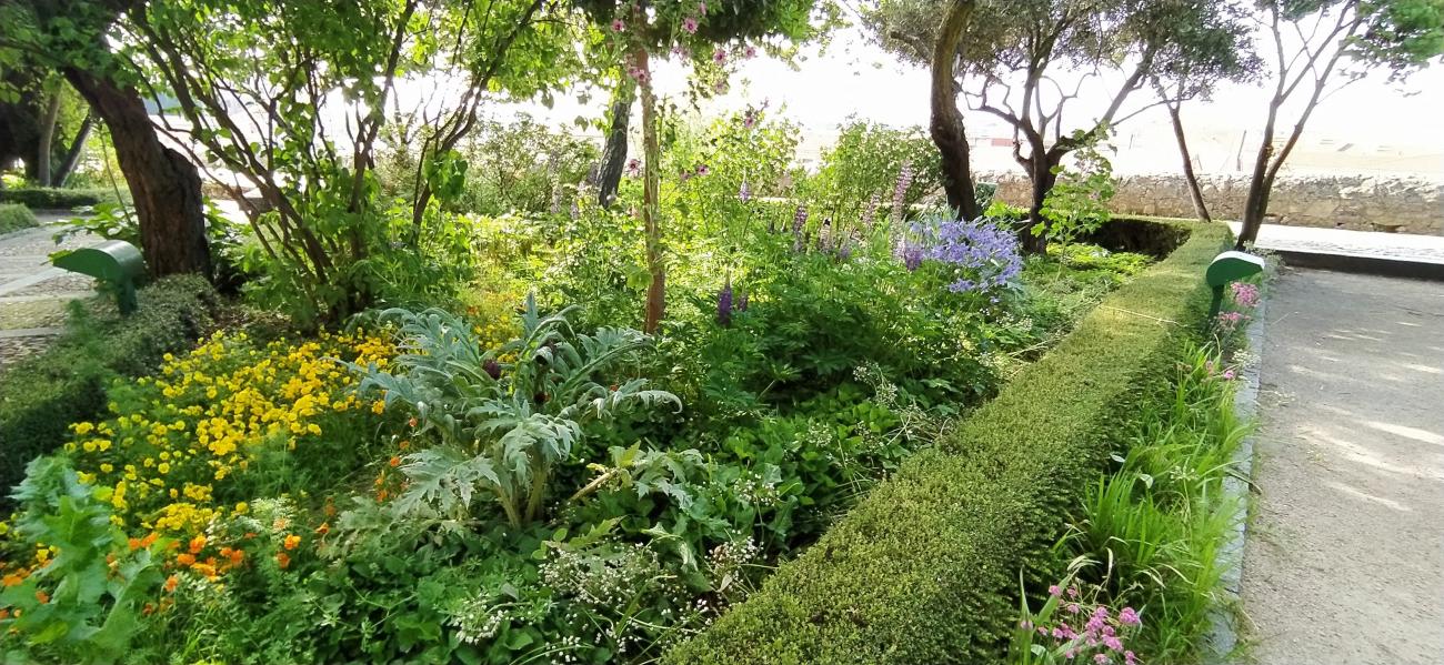 Jardin de la Alamedilla  en la actualidad  y que ilustra el reportaje