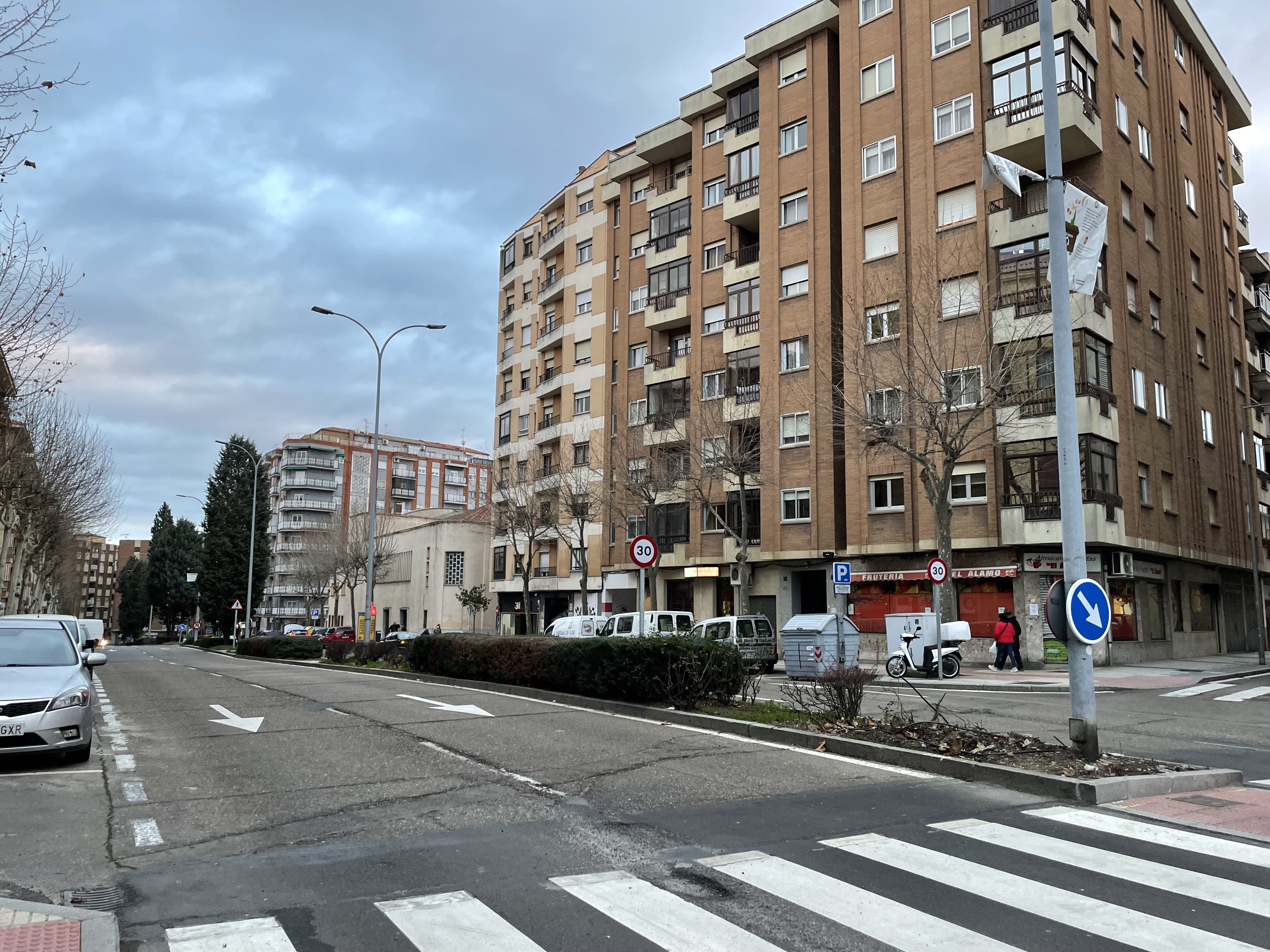 Avenida Alfonso IX de Leon cuya mediana se ajardinara