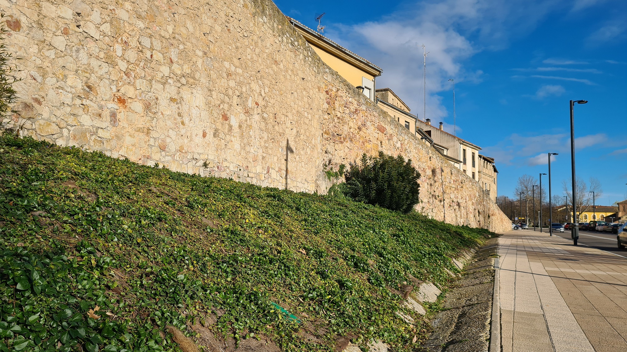 Renovacion de plantaciones y jardineras en el Paseo de San Gregorio