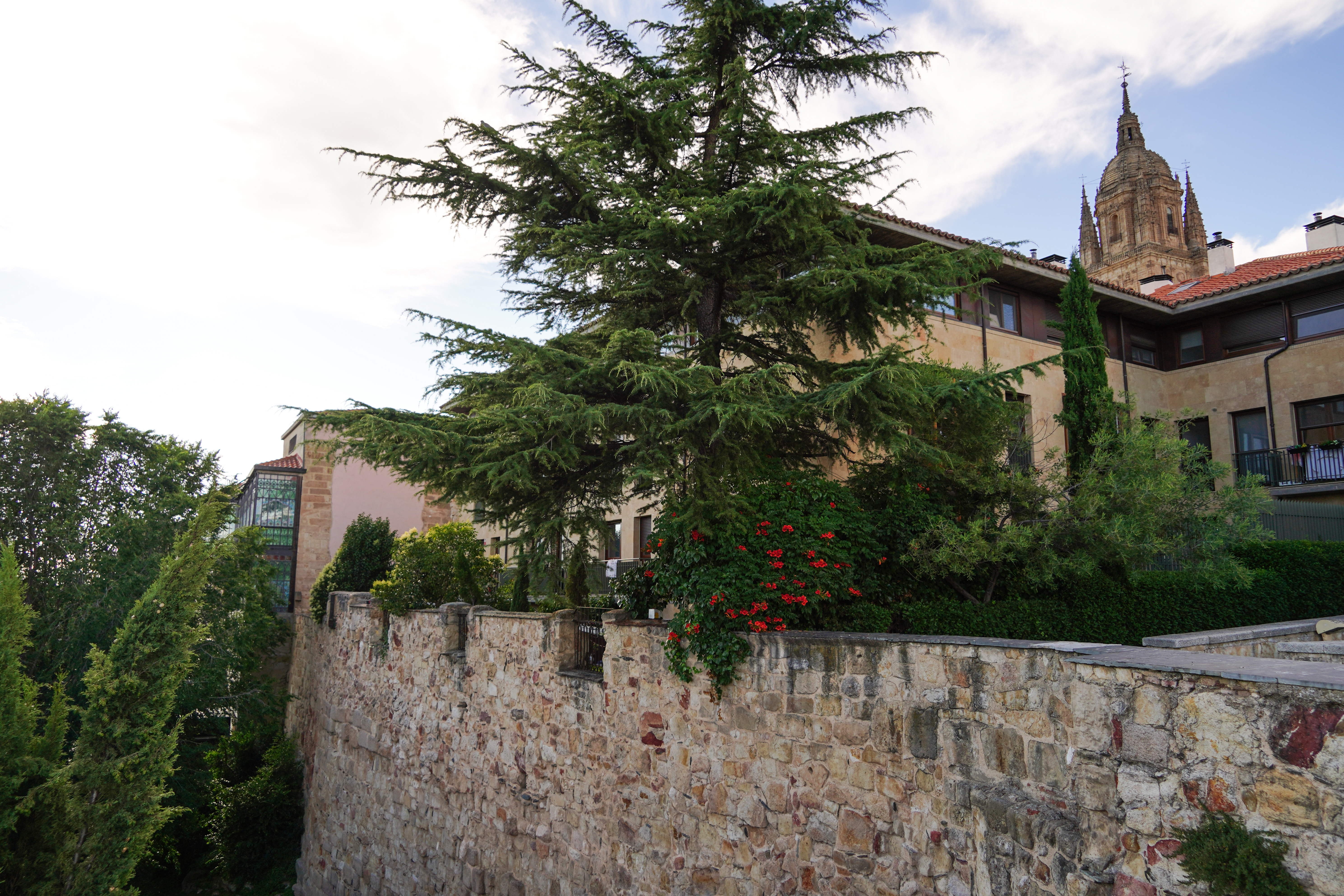 Islote verde  en el Huerto de Calixto y Melibea