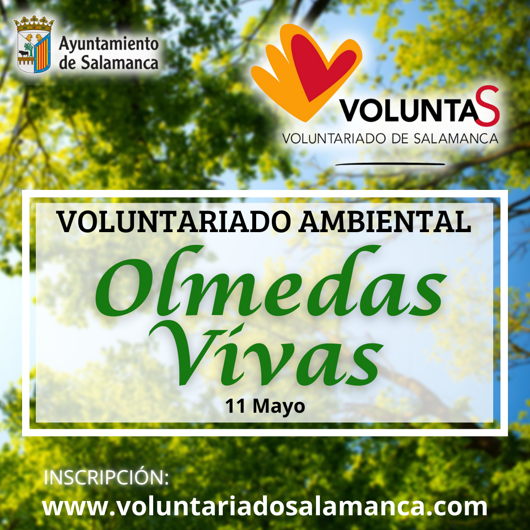 Nueva jornada de voluntariado ambiental   Olmedas Vivas