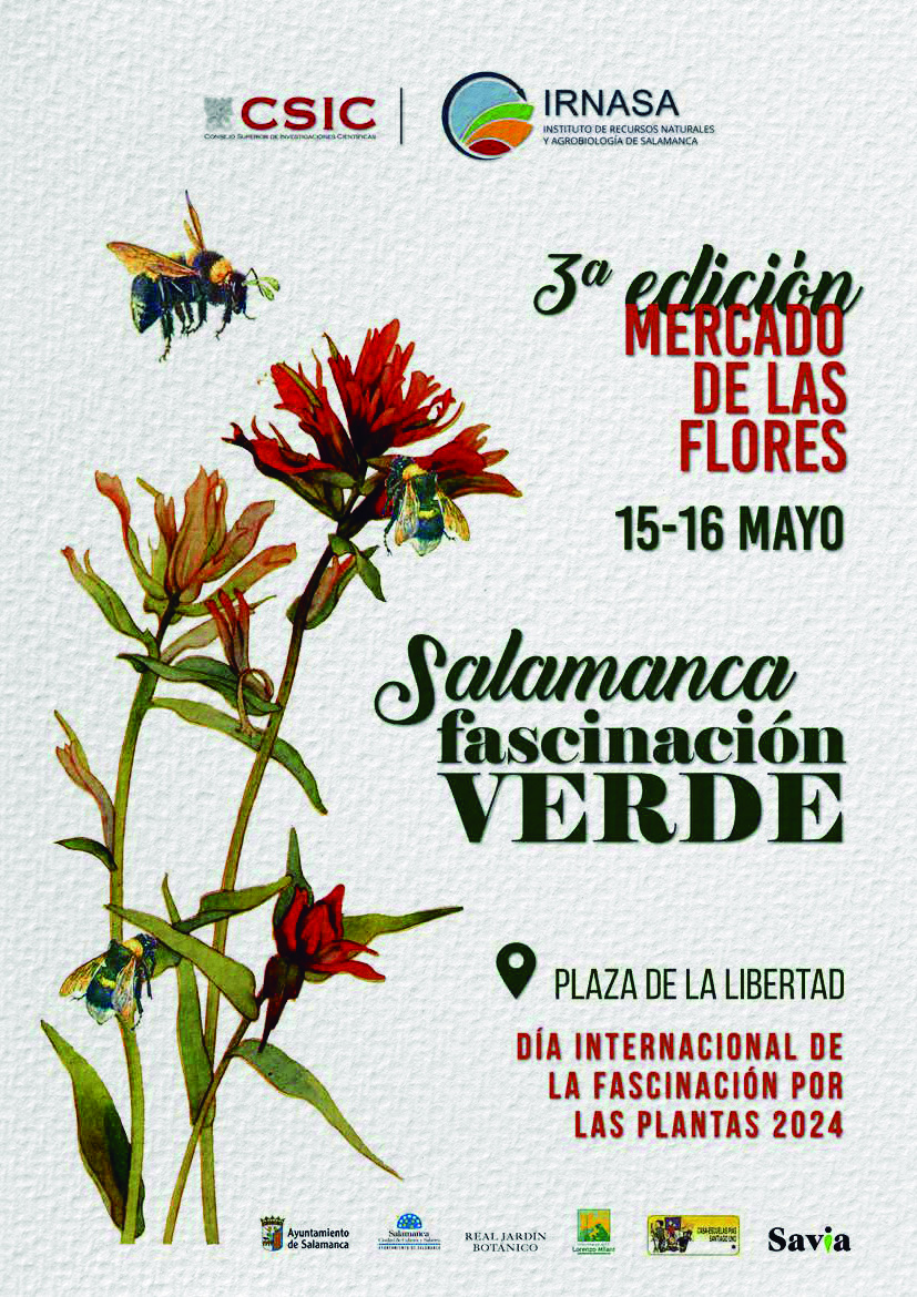 El Mercado de las Flores vuelve a las calles de Salamanca